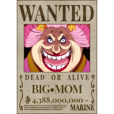 Placa Decorativa OnePiece Wanted Big Mom